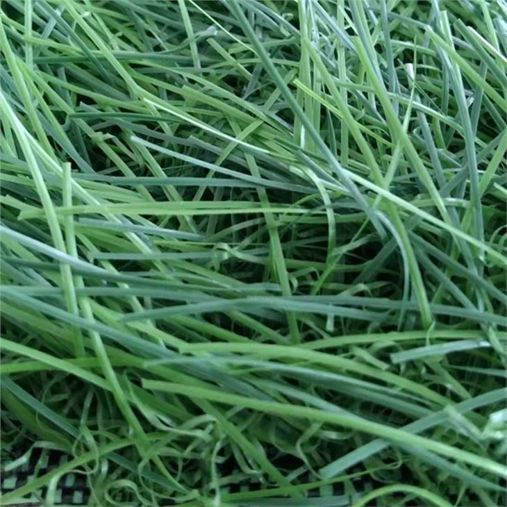 green grass 44mm